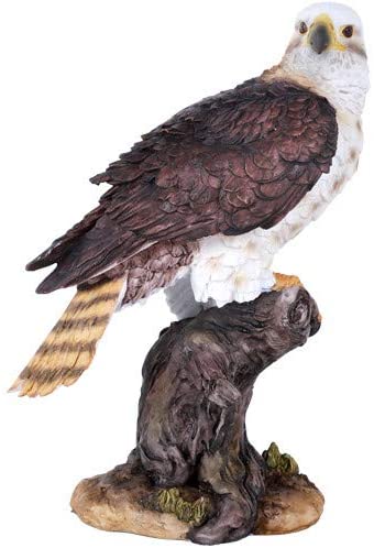 EAGLE - 11596