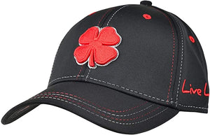 PREMIUM CLOVER 24