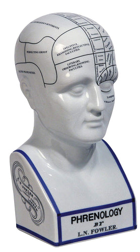 Porcelain Phrenology Head Bust