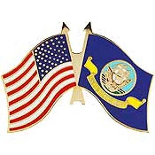 PIN-USN,FLAG,USA/USN