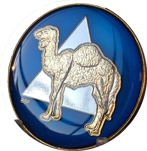 Camel  Tri Plate AA Medallion Sobriety Chip