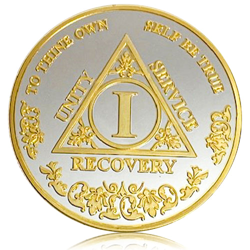 JuniWon - 1 Year Alcoholics Anonymous Medallion AA Coin